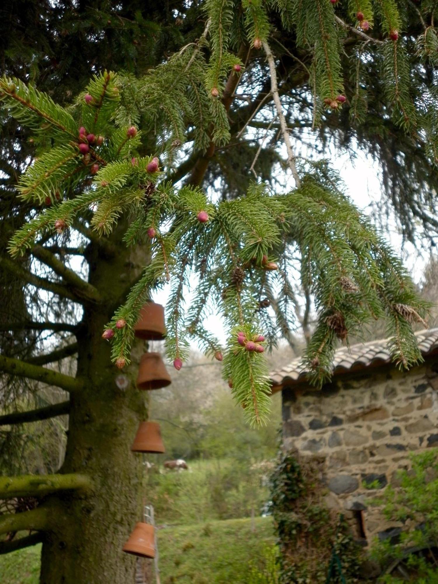 Maison D'Hotes De La Verriere Les Ardillats Exterior photo